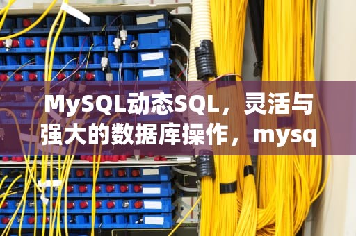 MySQL动态SQL，灵活与强大的数据库操作，mysql动态SQL返回查询结果