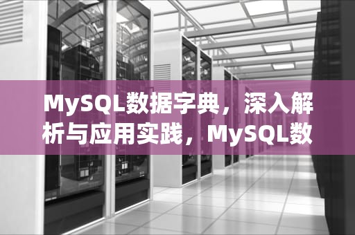 MySQL数据字典，深入解析与应用实践，MySQL数据字典创建