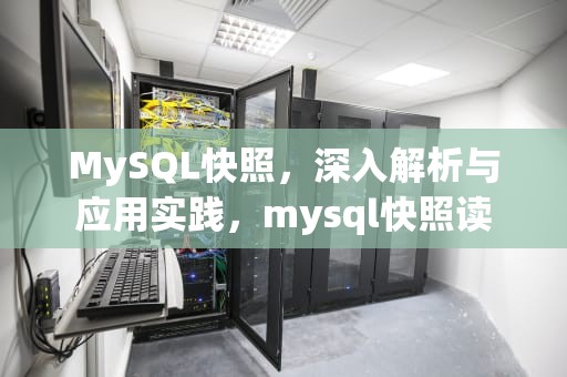 MySQL快照，深入解析与应用实践，mysql快照读