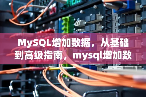 MySQL增加数据，从基础到高级指南，mysql增加数据的语句