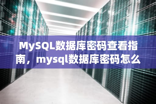 MySQL数据库密码查看指南，mysql数据库密码怎么查