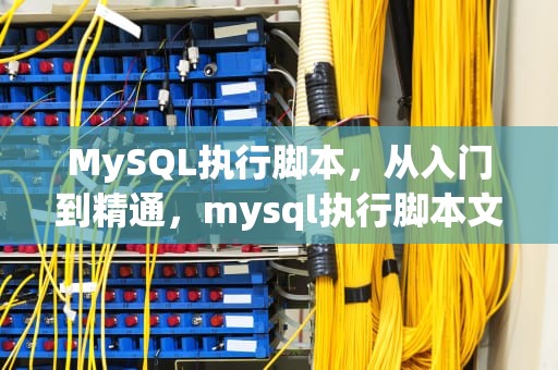 MySQL执行脚本，从入门到精通，mysql执行脚本文件