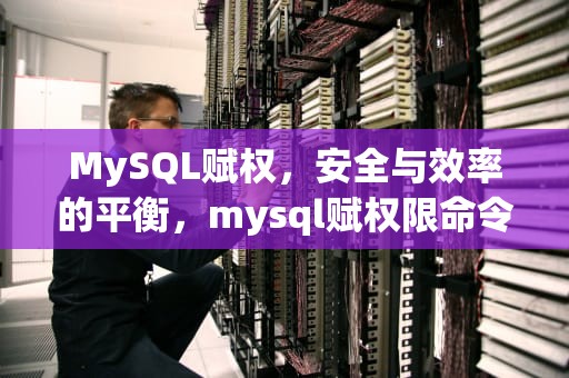 MySQL赋权，安全与效率的平衡，mysql赋权限命令