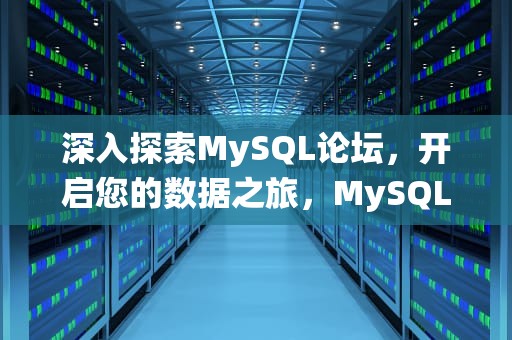 深入探索MySQL论坛，开启您的数据之旅，MySQL论坛管理系统pythonUI界面