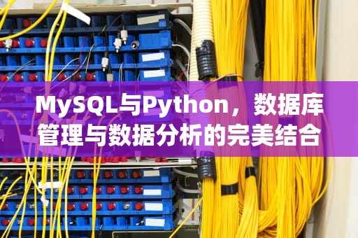 MySQL与Python，数据库管理与数据分析的完美结合，MySQL和Python哪个难
