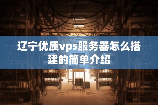 辽宁优质vps服务器怎么搭建的简单介绍