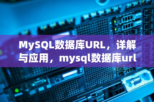 MySQL数据库URL，详解与应用，mysql数据库url地址怎么查