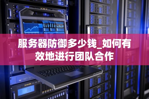 服务器防御多少钱_如何有效地进行团队合作