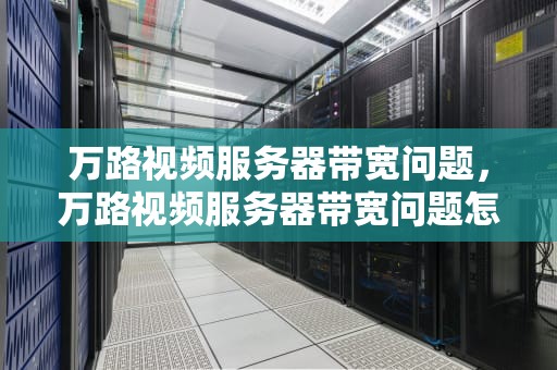 万路视频服务器带宽问题，万路视频服务器带宽问题怎么解决