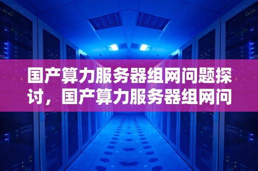 国产算力服务器组网问题探讨，国产算力服务器组网问题怎么解决