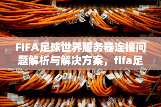 FIFA足球世界服务器连接问题解析与解决方案，fifa足球世界服务器连接问题1000