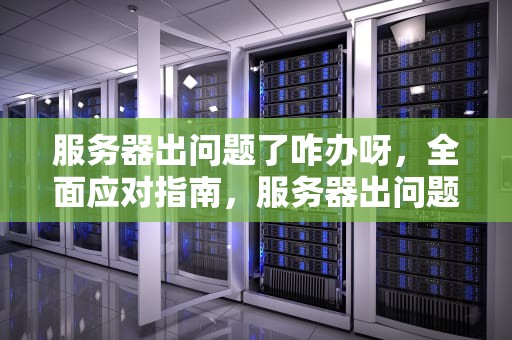 服务器出问题了咋办呀，全面应对指南，服务器出问题了咋办呀怎么解决