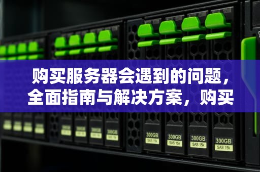 购买服务器会遇到的问题，全面指南与解决方案，购买服务器会遇到的问题有哪些