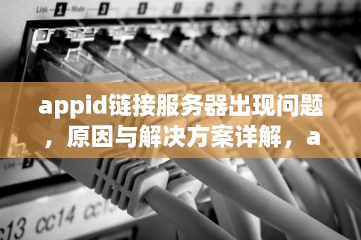 appid链接服务器出现问题，原因与解决方案详解，appid连接服务器出现问题