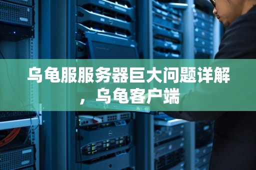 乌龟服服务器巨大问题详解，乌龟客户端