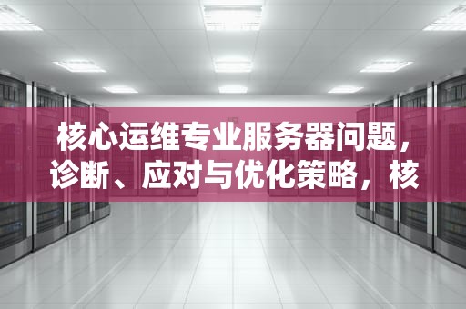 核心运维专业服务器问题，诊断、应对与优化策略，核心网运维
