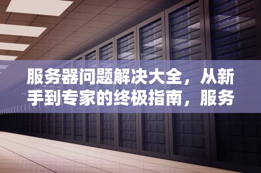 服务器问题解决大全，从新手到专家的终极指南，服务器问题怎么解决