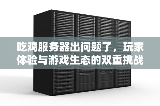 吃鸡服务器出问题了，玩家体验与游戏生态的双重挑战，吃鸡服务器出问题了怎么办