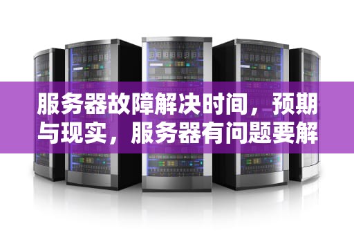 服务器故障解决时间，预期与现实，服务器有问题要解决多久才能解决