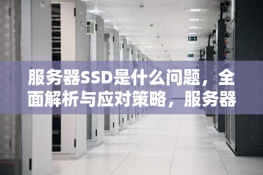 服务器SSD是什么问题，全面解析与应对策略，服务器ssd是什么问题啊