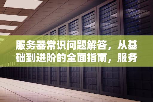 服务器常识问题解答，从基础到进阶的全面指南，服务器常识问题解答方法