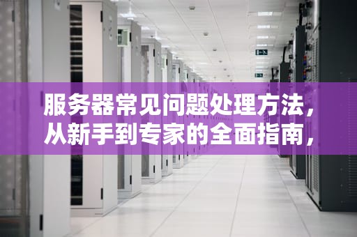 服务器常见问题处理方法，从新手到专家的全面指南，服务器常见问题处理方法有哪些