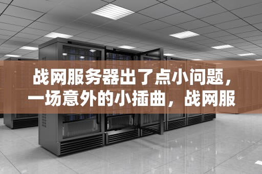 战网服务器出了点小问题，一场意外的小插曲，战网服务器出了点小问题怎么办