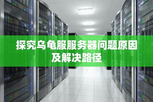 探究乌龟服服务器问题原因及解决路径