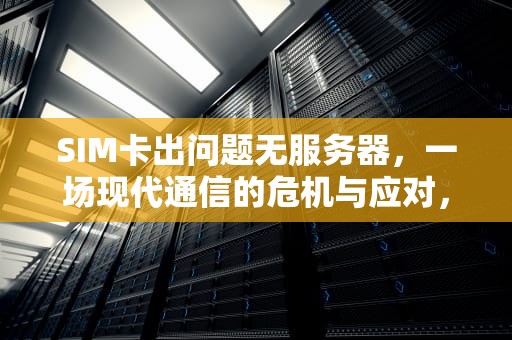 SIM卡出问题无服务器，一场现代通信的危机与应对，sim卡出问题无服务器怎么办