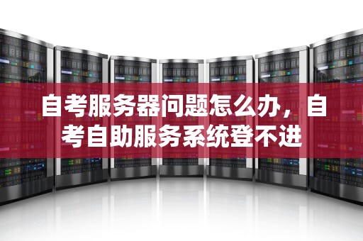 自考服务器问题怎么办，自考自助服务系统登不进