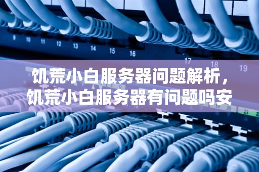 饥荒小白服务器问题解析，饥荒小白服务器有问题吗安卓