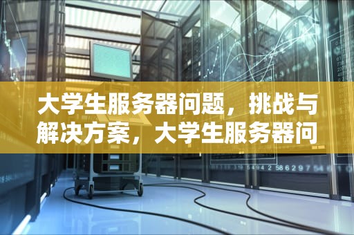 大学生服务器问题，挑战与解决方案，大学生服务器问题有哪些