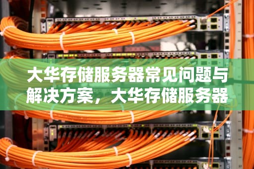 大华存储服务器常见问题与解决方案，大华存储服务器说明书