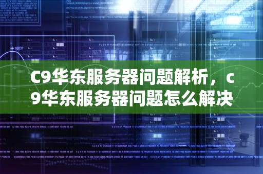 C9华东服务器问题解析，c9华东服务器问题怎么解决