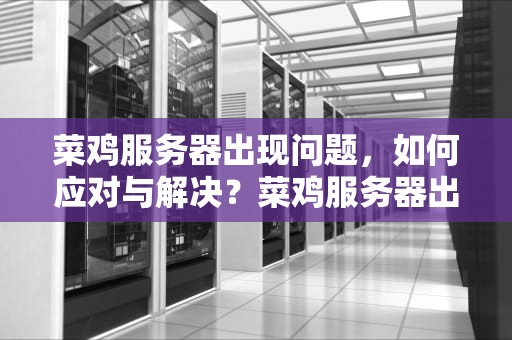 菜鸡服务器出现问题，如何应对与解决？菜鸡服务器出现问题怎么解决