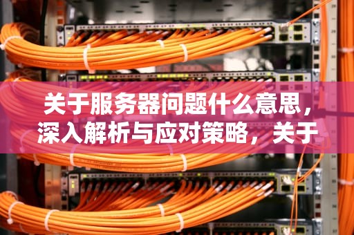 关于服务器问题什么意思，深入解析与应对策略，关于服务器的问题