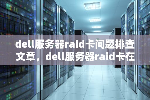 dell服务器raid卡问题排查文章，dell服务器raid卡在哪