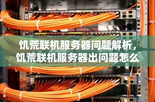 饥荒联机服务器问题解析，饥荒联机服务器出问题怎么解决