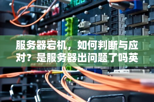 服务器宕机，如何判断与应对？是服务器出问题了吗英文
