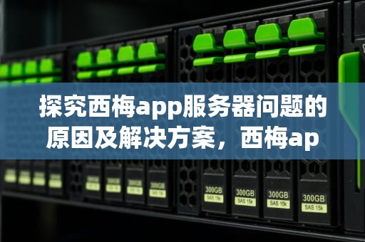 探究西梅app服务器问题的原因及解决方案，西梅app服务器出问题怎么解决