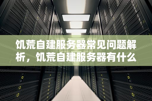 饥荒自建服务器常见问题解析，饥荒自建服务器有什么好处
