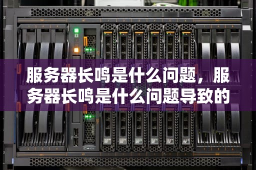 服务器长鸣是什么问题，服务器长鸣是什么问题导致的