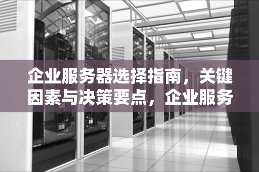 企业服务器选择指南，关键因素与决策要点，企业服务器选择
