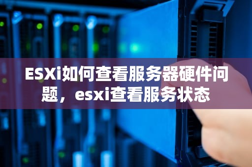 ESXi如何查看服务器硬件问题，esxi查看服务状态