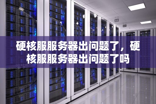 硬核服服务器出问题了，硬核服服务器出问题了吗