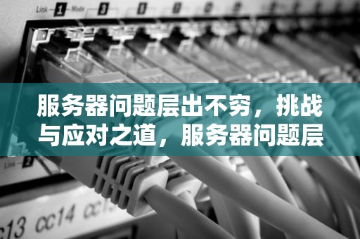 服务器问题层出不穷，挑战与应对之道，服务器问题层出不穷的原因