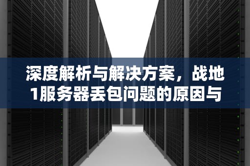 深度解析与解决方案，战地1服务器丢包问题的原因与应对策略，战地1服务器丢包问题怎么解决