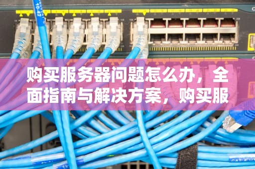 购买服务器问题怎么办，全面指南与解决方案，购买服务器问题怎么办理
