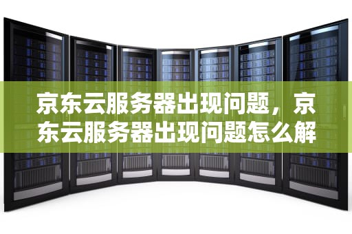京东云服务器出现问题，京东云服务器出现问题怎么解决
