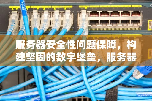 服务器安全性问题保障，构建坚固的数字堡垒，服务器安全性问题保障措施